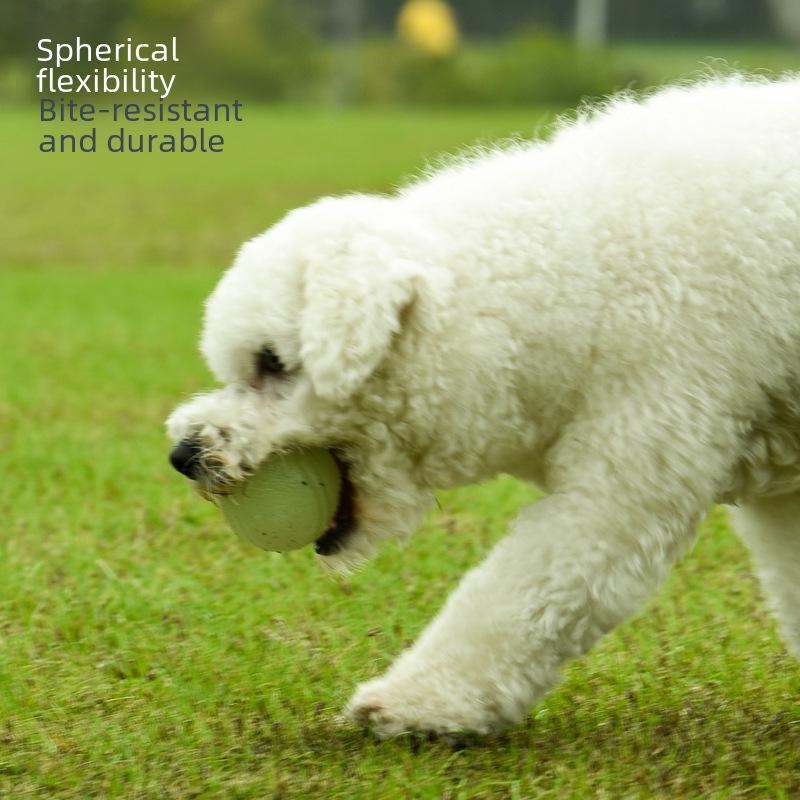 Bite-Resistant Teething Toy Ball for Golden Retrievers, Labradors, and Dogs of All Sizes