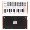 Worlde Ultra-Portable Mini Professional 25-Key USB MIDI Drum Pad and Keyboard Controller