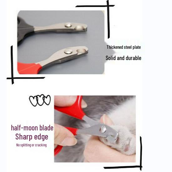 Pet Nail Clipper for Cats, Kittens, Small Dogs, Rabbits, and Guinea Pigs