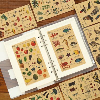 8 szt. Zestaw naklejek papierowych Kraft okazy do nauczania owoce ryby warzywa rośliny owady ptaki artykuły papiernicze dla zwierząt