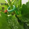 Twist Prevention Plant Support Stake 10Pcs Stakes Slot Design Easy to Use Versatile Application Indoor Heavy Rain Flower Stand Outdoor Single
