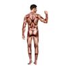 Autumn, Halloween Attack Human Muscles Digital Printing Pattern New Onesie Men