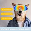 Lunettes de soleil pour chien pour races petites à moyennes Lunettes anti-poussière et coupe-vent