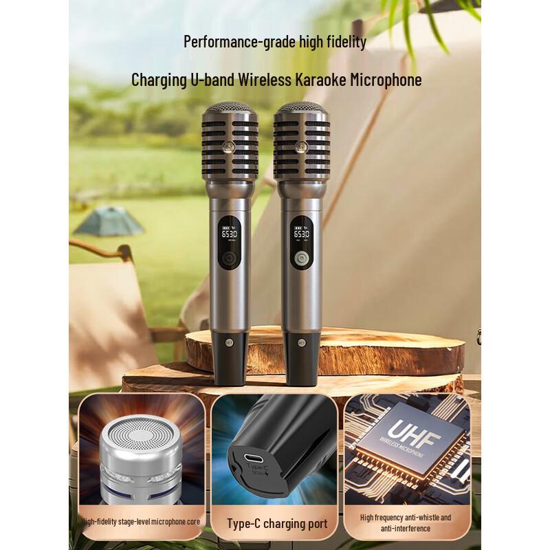 SANSUI E96 High-Power Portable Karaoke & Live Stream Speaker