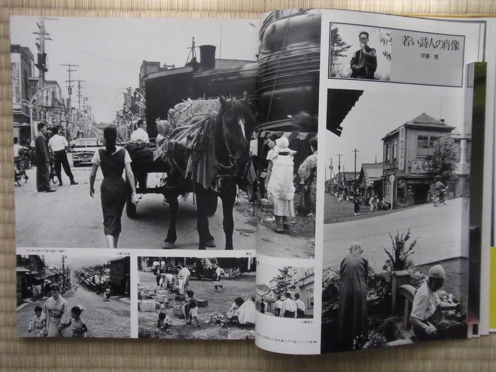 [USED] Showa Photo Complete Works SERIES3 Tadahiko Hayashi Art Photo Collection Asahi Shimbun