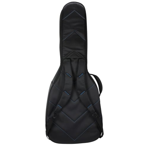 Reunion Blues RBX-335 Semi-Hollow Guitar Case