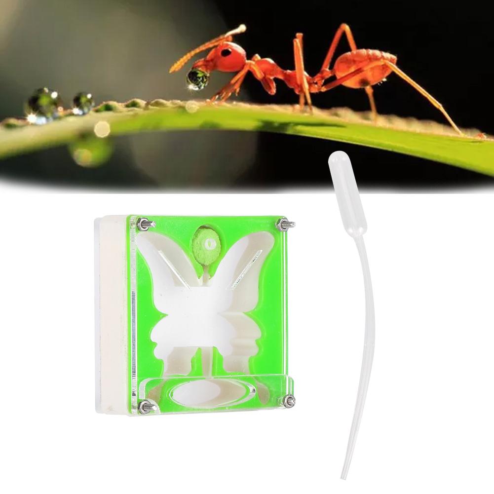Ant Workshop Self Controlled Humidity Ant Nests Castle Ant Home Acrylic Ant Nests