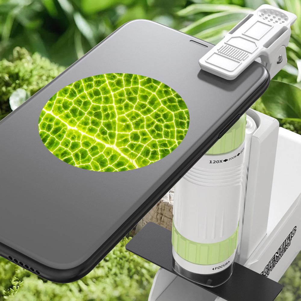 60x-120x Children Pocket Microscope Detachable Mini Microscope for Kids Student Science Lab