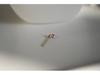 Gold-Plated Sterling Silver Zircon Stud Earrings – Fashionable & Versatile Women's Jewelry.
