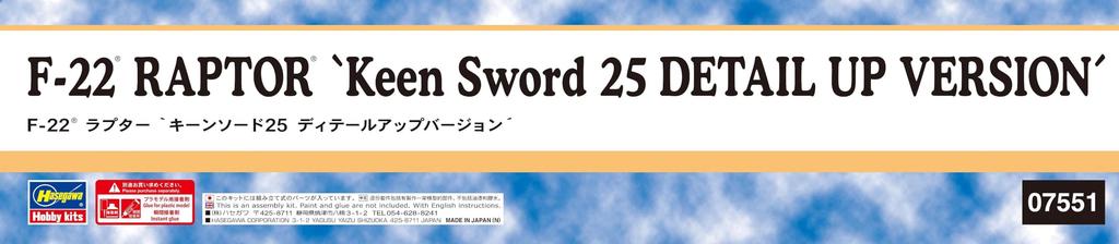 Hasegawa scale American Raptor Keen Sword 25 Version Plastic Model Kit 07551 1/48 F-22 Detail-Up (Airplane)