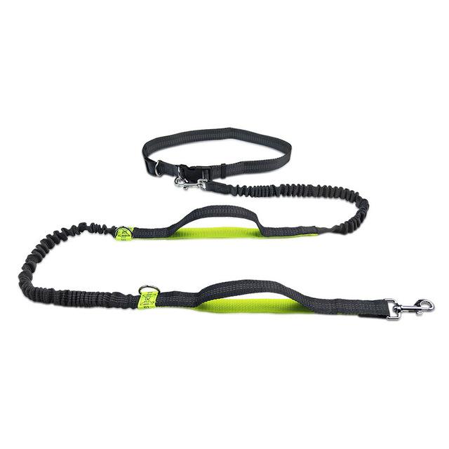 

Professional 2022 New Reflective Leash Traction Rope Pet Dog Running Belt Elastic Hands Freely Jogging Pull Dog Leash Metal D-ring Leashes