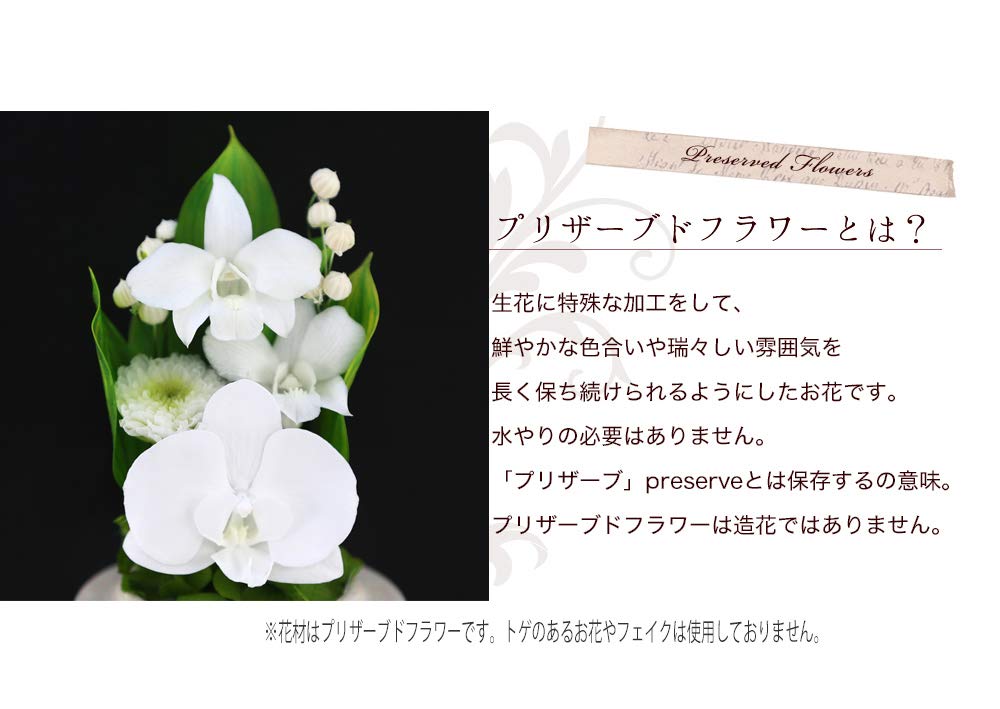 Art for Seasons Buddhist Flowers (White Mini Phalaenopsis Orchid Mini Glass Preserved Flowers)