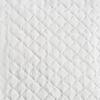 Yi Bai Nian Adult Care Pads: Disposable Urine and Postpartum Pads for Elderly Care and Postpartum Support.
