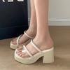 Premium Thick-soled Slippers Women's Summer Outer Wear 2025 New Thick-heeled One-word Drag Transparent High-heeled Fairy Wind Sandals
