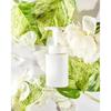 Sekkisei Clear Wellness Gentle Wash (refill) 140mL Meringue-like Fluffy Moist Foam Sensitive Skin Pore Cleanser