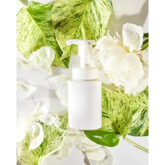 Sekkisei Clear Wellness Gentle Wash (refill) 140mL Meringue-like Fluffy Moist Foam Sensitive Skin Pore Cleanser