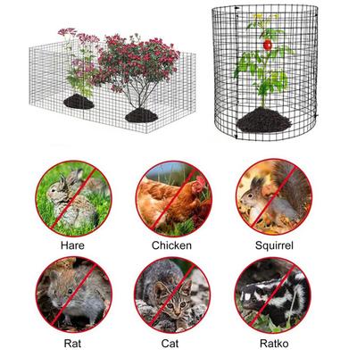 Trådnät Växtskydd mot Djur Växtskyddsbur Set Trädstamskydd med Markpinnar Bindtrådar för Trädgårdsskydd Håll Kanin Räv Ute