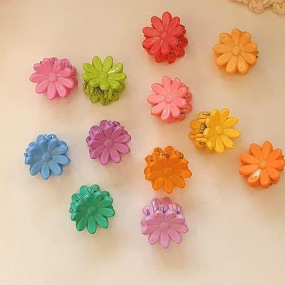 Women's Multi-Full Mini Flower Hair Clip (Daddeuri)