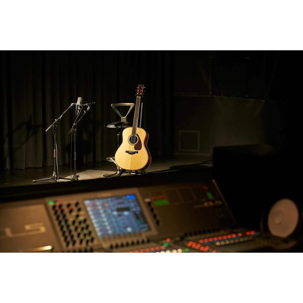Yamaha YAMAHA acoustic guitar LS6 ARE