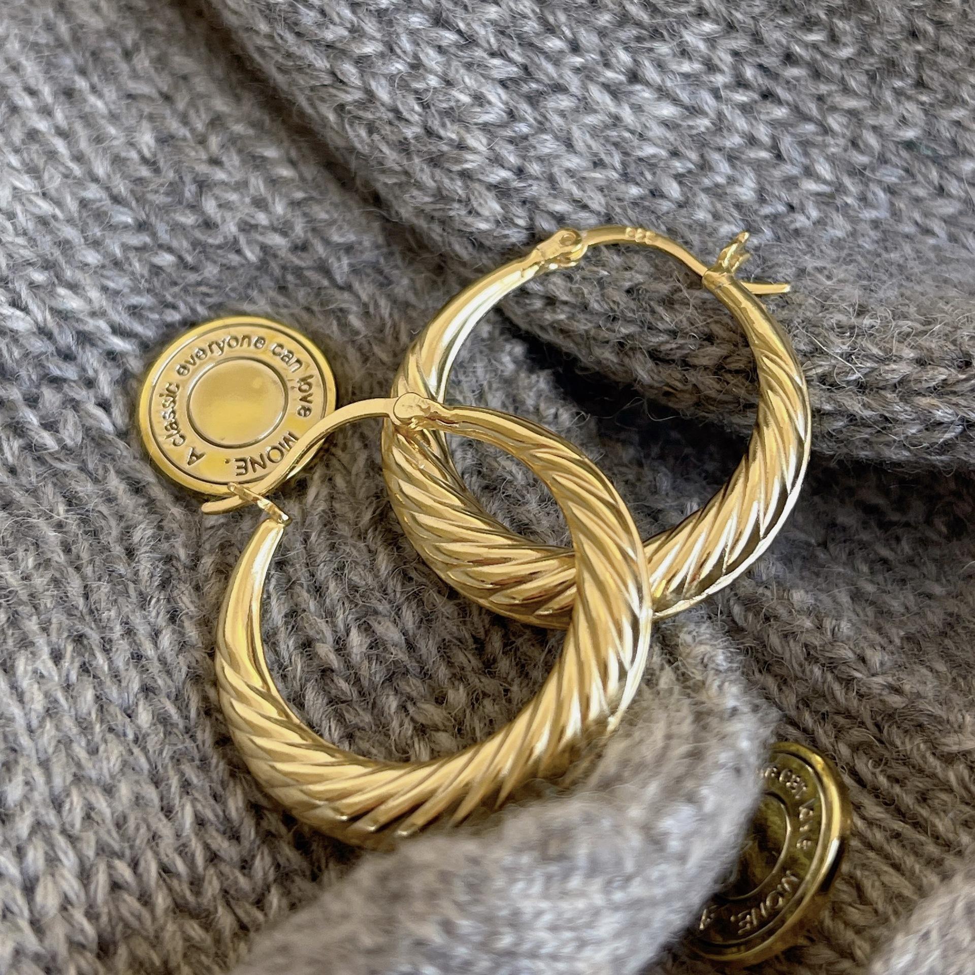 Europe and America Fashion Jewelry 925 Silver Big Hoop Earring for Women 18K Gold Plated Twisted Heavy Hoop huggies Earrings