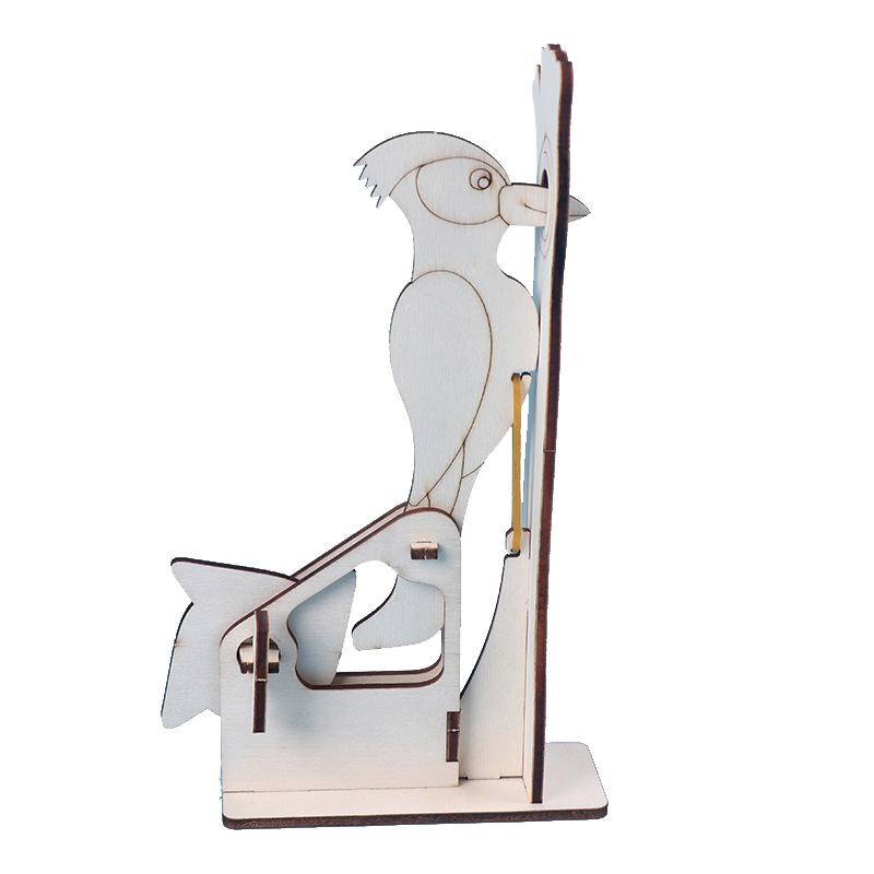 Woodpecker STEM DIY Science Kits: Creative Educational Toys and Teaching Aids for Kids