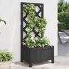 Vidaxl Planter with Trellis, Black, Solid Fir Wood