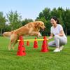 Hunde Agility Hürdenkegel Haustier Sprungtrainingsset für Anfänger Laufen Gehorsam