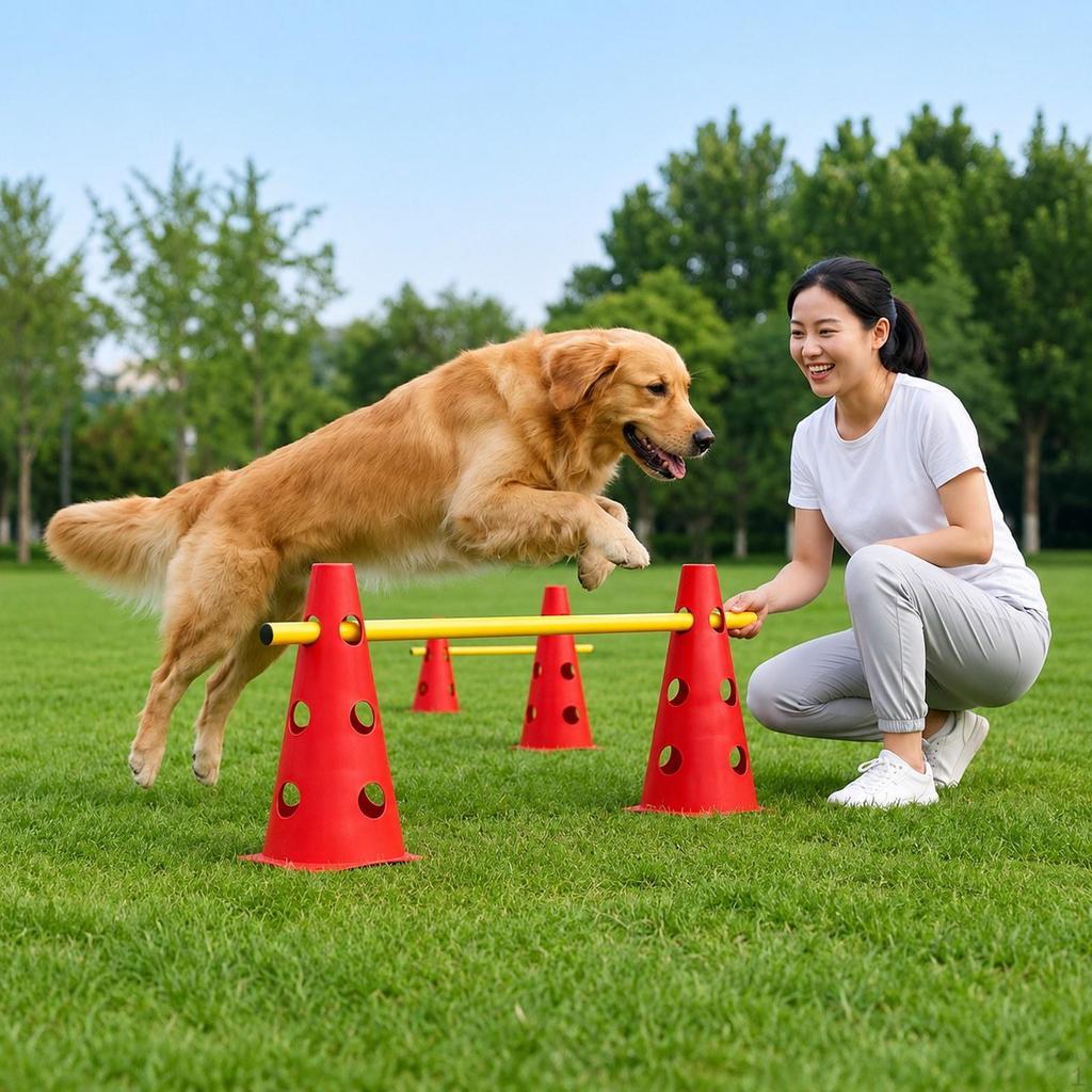 Hunde Agility Hürdenkegel Haustier Sprungtrainingsset für Anfänger Laufen Gehorsam