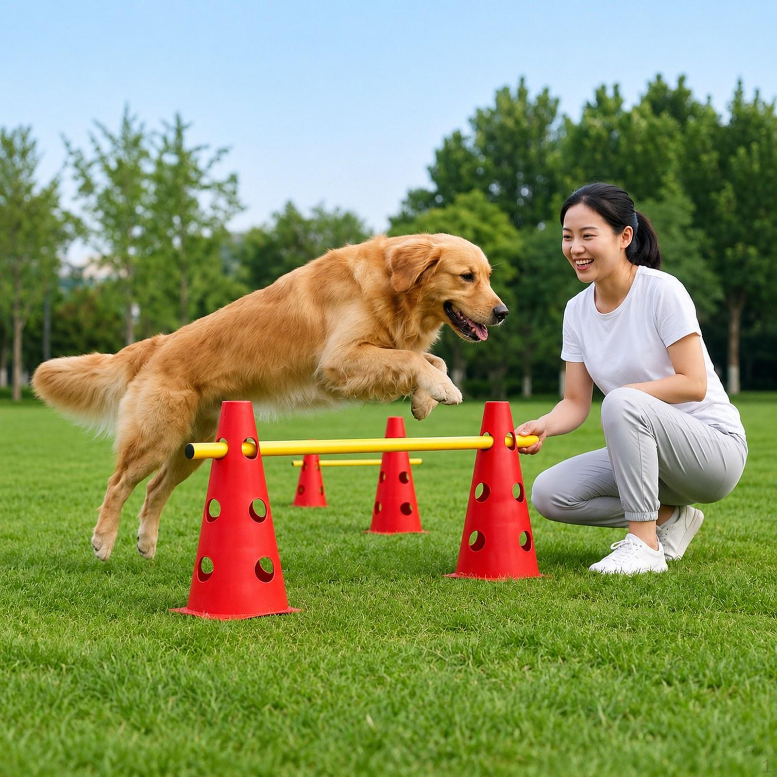 Dog Agility Hurdle Cones Pet Jump Training Set for Starter Running Obedience 3Pcs