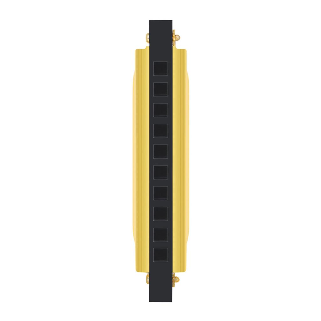 Standard Harmonica Key-of-C, Blues Harps Mouth Organ 10 Holes 20 Tones Harmonica for Beginners and Professionals
