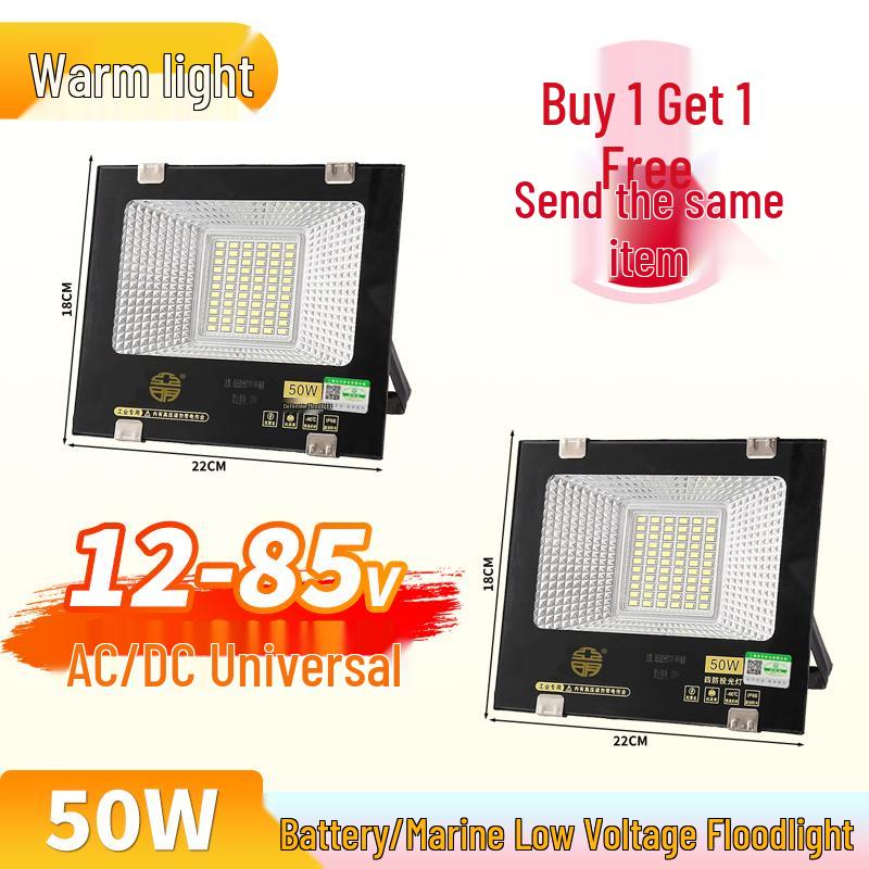 Yaming Marine LED Floodlight: 100W Outdoor Waterproof Spotlight for 12V/24V/36V DC Battery