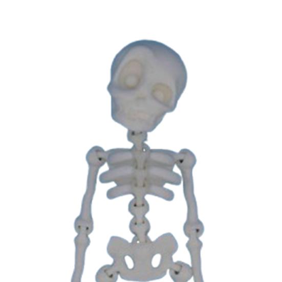 Poseable Skeleton Fridge Magnet 3D Printed Articulated Full Body Skeleton with Movable Joints Halloween Mini Skull Fridge Magnets for Home Decor