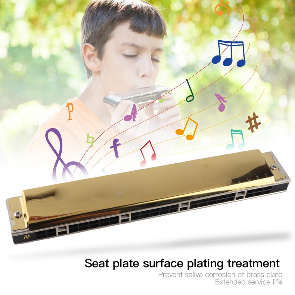 24 Hole Tremolo Harmonica Harp Wind Musical Instrument for Beginner Children Gift