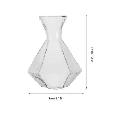 2Pcs Transparent Glass Vase High Borosilicate Clear Planter Jar Hydroponic Propagation Flower Display Home Office Decor