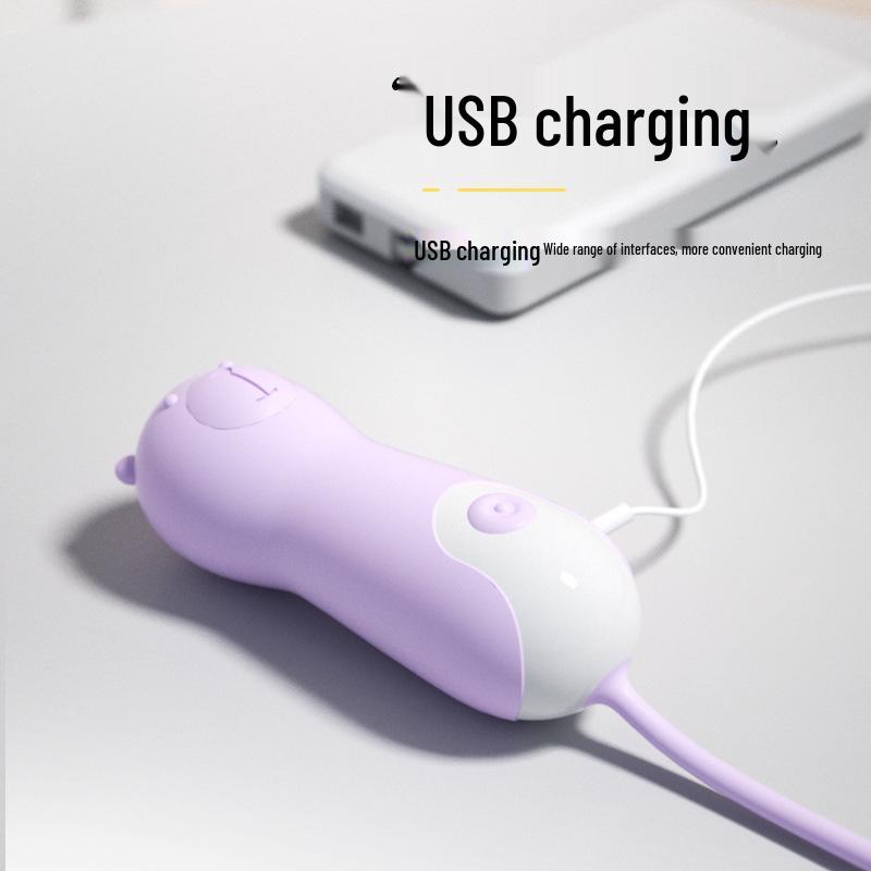 Lelala Love Egg: 10-Mode USB Rechargeable Internal Vibrator for Women