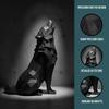Modern Abstract Geometric Wolf Sculpture 3D Printed Plastic Statue Office Decor Indoor & Outdoor Use