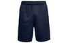 Shorts Men's Dark Blue 1306443-409