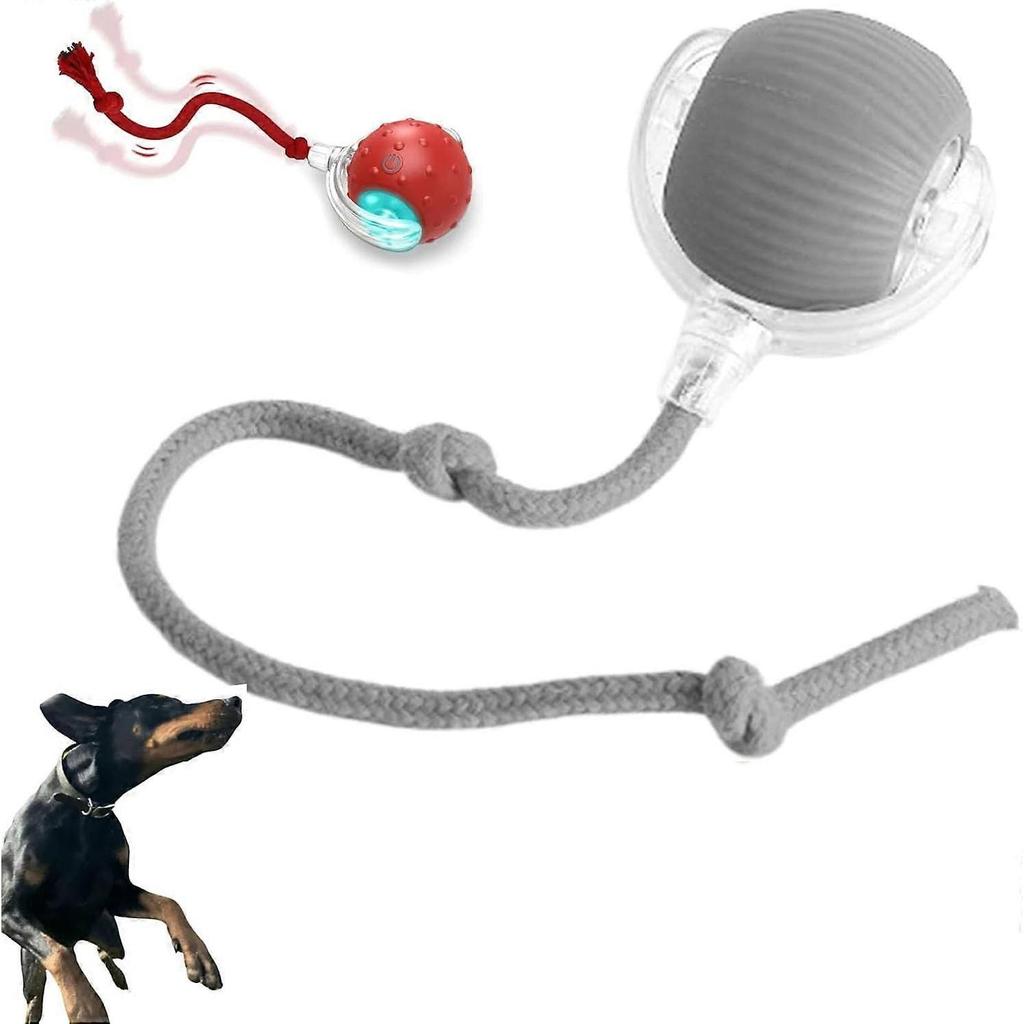 Chewie Viral Rolling Ball, Interactive Dog Smart Toy, 360° Automatic Rolling Pet Ball, Chewie Ball for Dogs