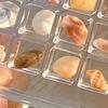 1 Pcs Acrylic Magnetic Seashell Display Box Seashell Display Box Storage Box Small Craft Organizers Compartment