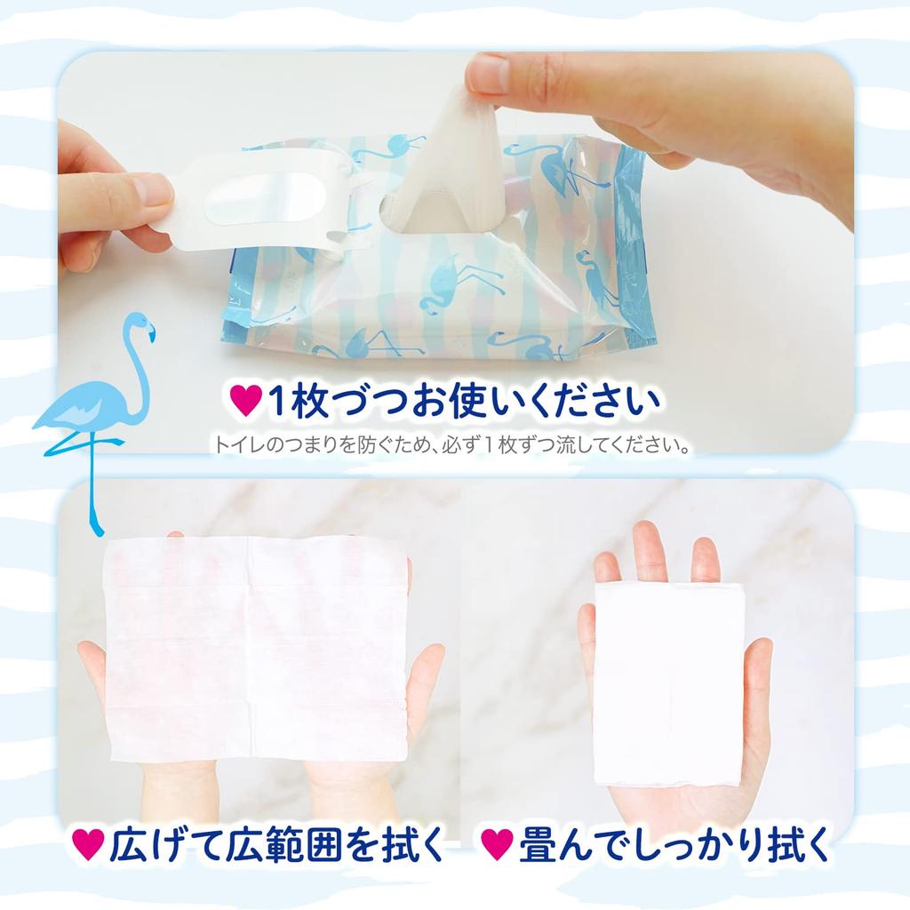 LEC Delicate Wet 20 Sheets X 2 Packs Made In Also Great for Originally Derived from Baby Wipes Women's Wipes, Femia, (Unscented), Flushable, Japan,