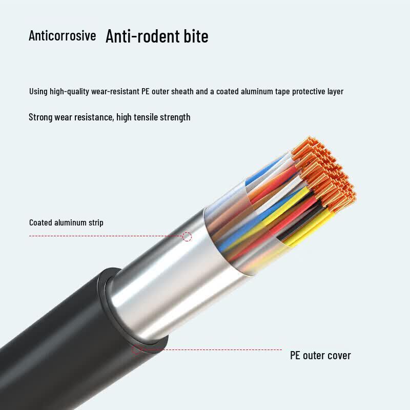 SHIQIAO Outdoor Large-Pair Voice Communication Cable (CN version)