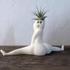 Hilarious Big Booty Ghost Planter Succulent Planter Air Plant Display Indoor Planter Decor Planter Plant Pots Funny Prank Gift