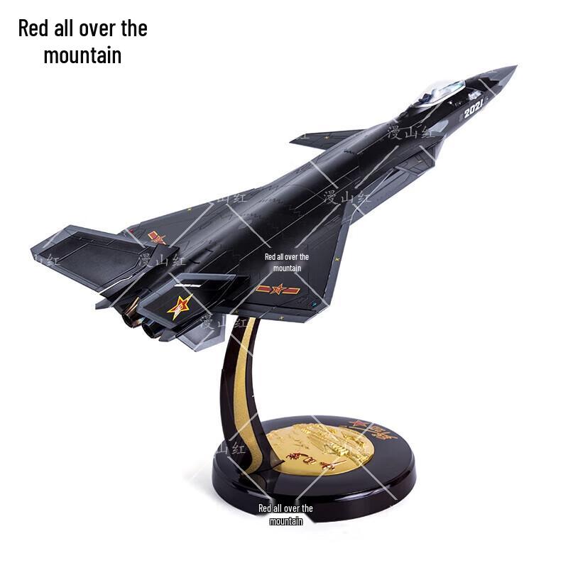J-20 Fighter Jet Model