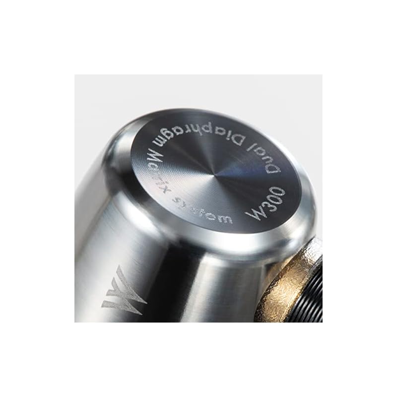 Radius HP-W300 Double V Series Titanium Alloy Housing High-Resolution Audio Earphones: High-Resolution Audio, MMCX Detachable Cable, Titanium Alloy