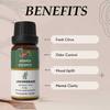 Buy 1 Get 1 Free Lemongrass Essential Oil for Aromatherapy & Home Fragrance | Essential Oil for Diffuser & Soap Making