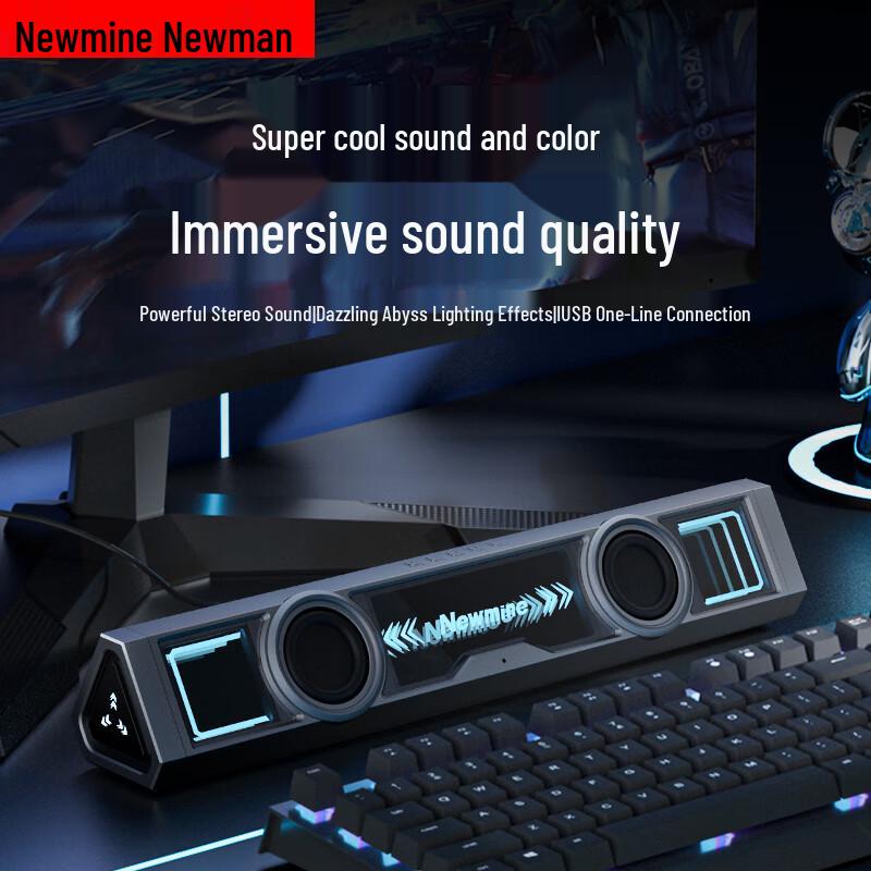 Newmine Desktop & Laptop Computer Speakers