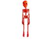 Skeleton Fridge Magnet, 3D Printed Articulated Skeleton Fridge Sticker, Vintage Gothic Refrigerator Magnets,