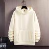 2024 Men's Heavyweight Hoodie: Spring/Autumn Fashion Trend for Teens & Men