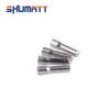 Shumatt 093152-0320 Fuel Injector Filter Outer Diameter 0.1mm Inner 0.05-0.06mm 100PCS For Injector