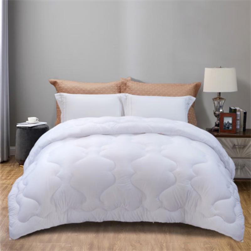 

Fuanna Warm Flannel Winter Comforter